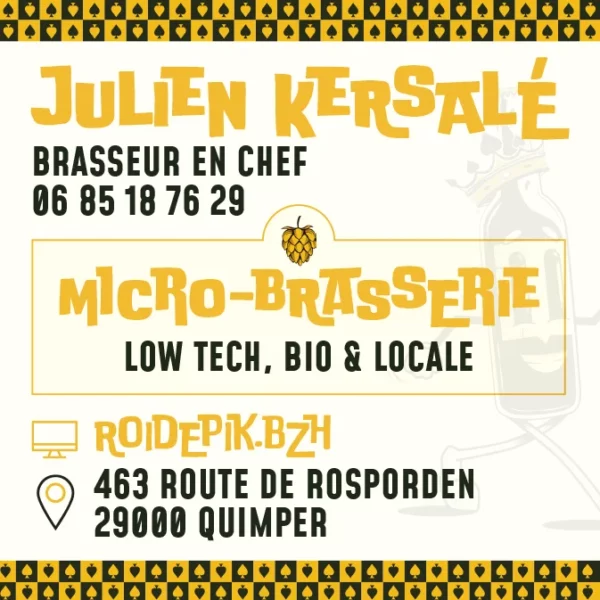 CARTE VSIITE 2